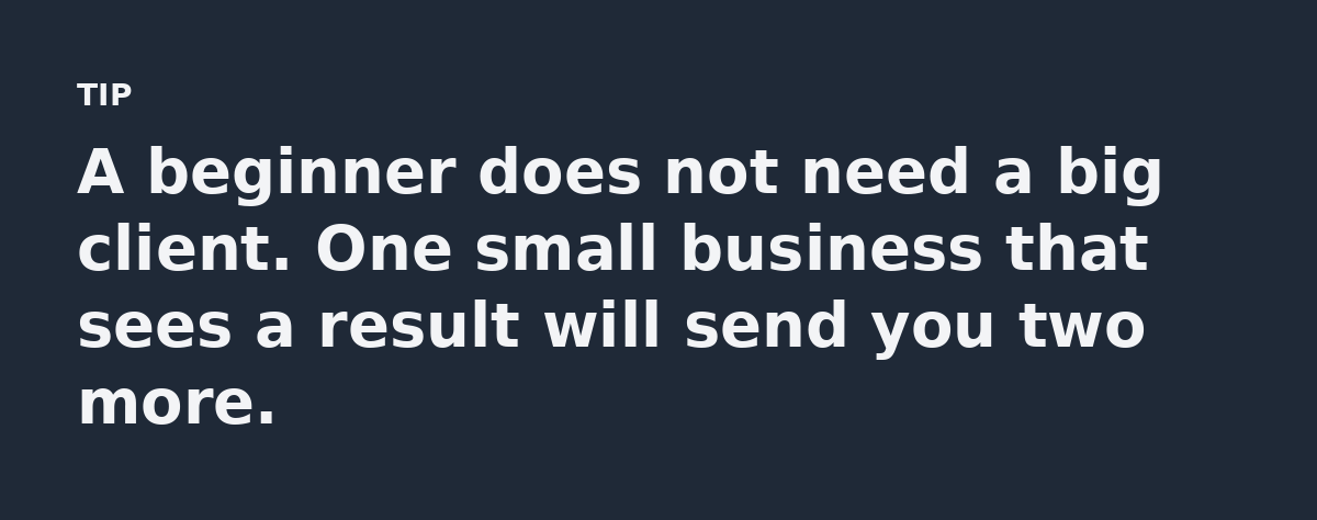 A beginner does not need a big client. One small business that sees a result will send you two more.