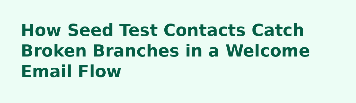 How to Test Delayed Branches in a Welcome Email Flow Before Launch: How Seed Test Contacts Catch Broken Branches in a Welcome Email Flow